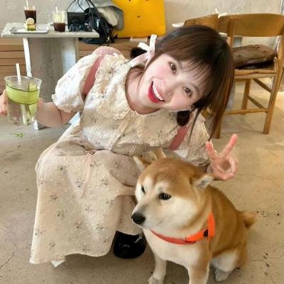 当家小娘子